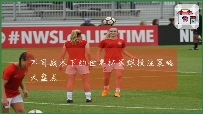 不同战术下的世界杯买球投注策略大盘点