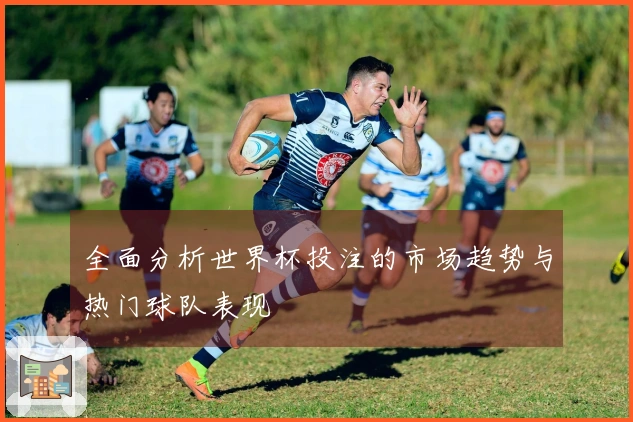 全面分析世界杯投注的市场趋势与热门球队表现