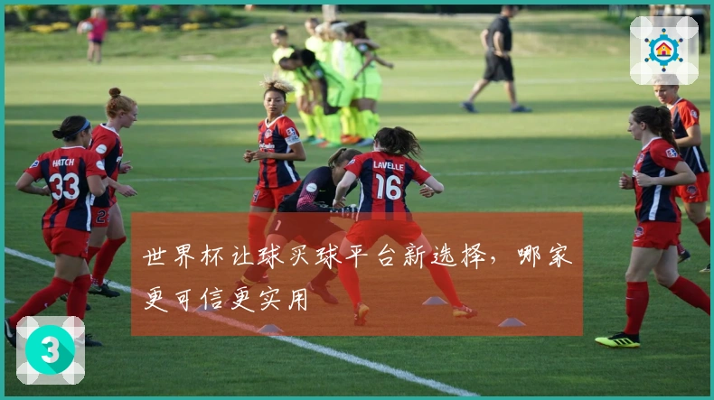 世界杯让球买球平台新选择，哪家更可信更实用