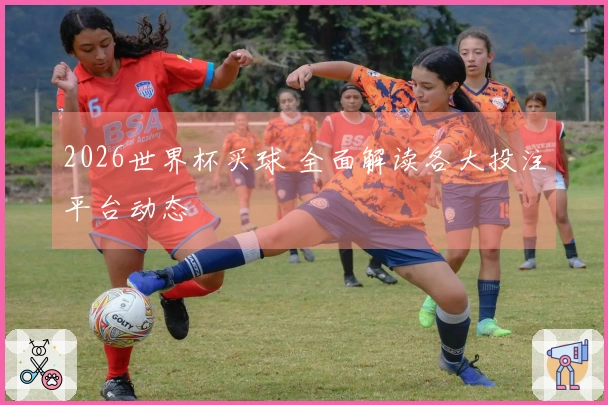 2026世界杯买球 全面解读各大投注平台动态