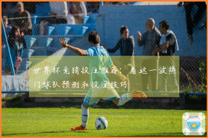 世界杯竞猜投注推荐：看这一波热门球队预测和投注技巧