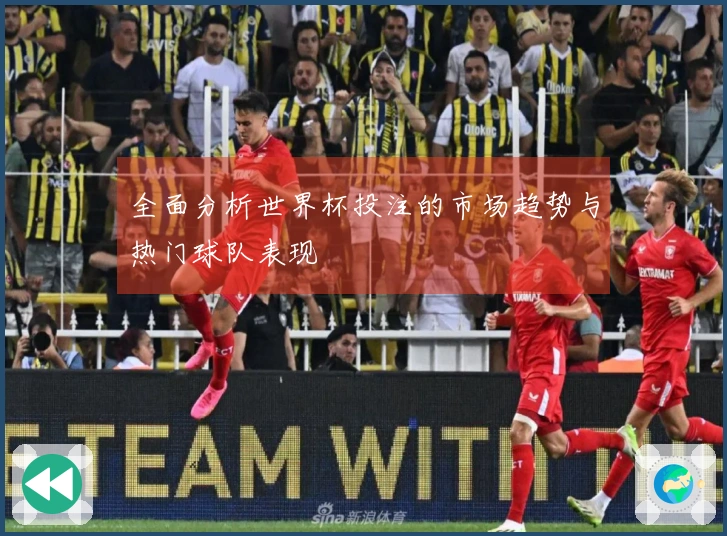 全面分析世界杯投注的市场趋势与热门球队表现