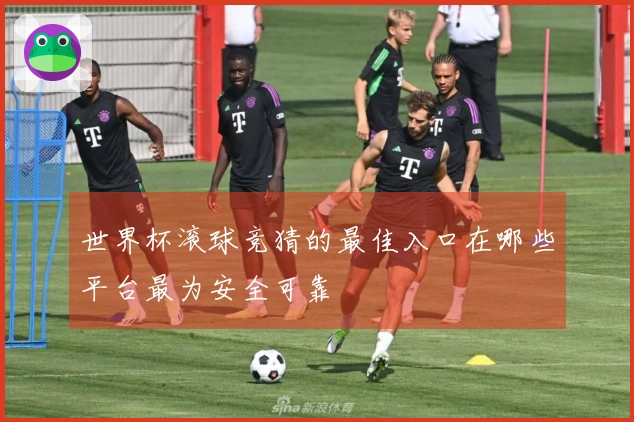 世界杯滚球竞猜的最佳入口在哪些平台最为安全可靠