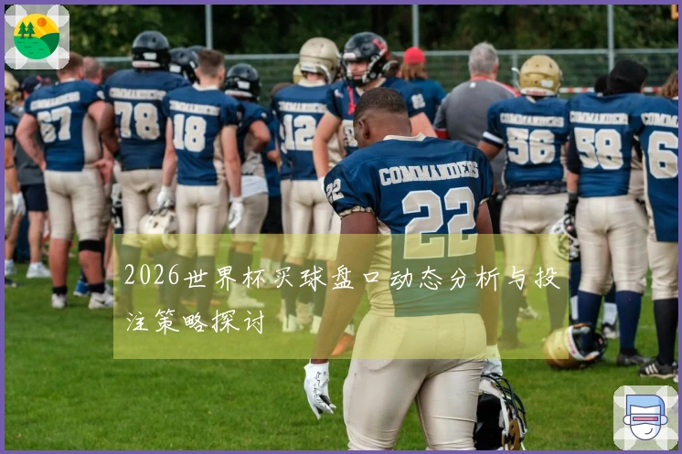 2026世界杯买球盘口动态分析与投注策略探讨
